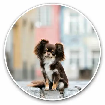 S61763 # Кафяво куче чихуахуа кученце, самозалепващи стикер, автомобили стикер, водоустойчив кола природа на бронята, на задното стъкло, лаптоп