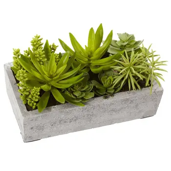 Изкуствено растение за суккулентного градина с бетонна тенджери, зелен